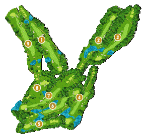 コース全体俯瞰図