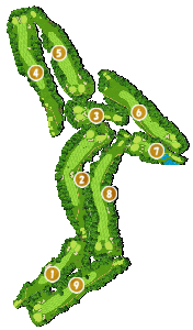 コース全体俯瞰図