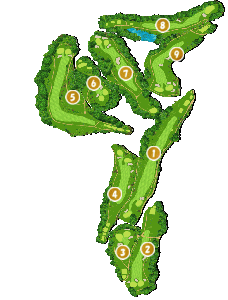 コース全体俯瞰図