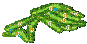 コース全体俯瞰図