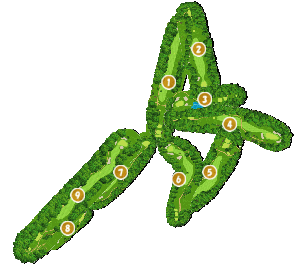 コース全体俯瞰図