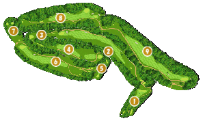 コース全体俯瞰図