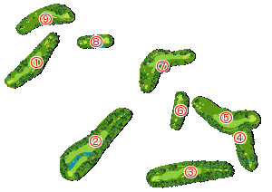 コース全体俯瞰図