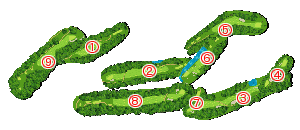 コース全体俯瞰図