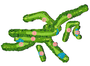 コース全体俯瞰図