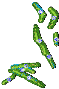 コース全体俯瞰図