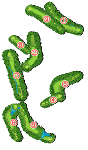 コース全体俯瞰図