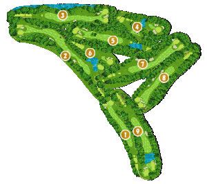 コース全体俯瞰図