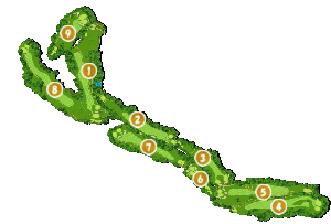 コース全体俯瞰図