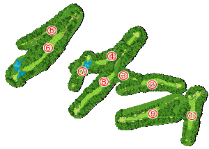 コース全体俯瞰図