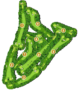 コース全体俯瞰図