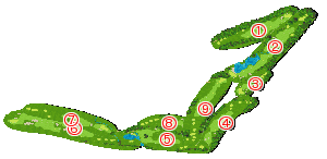 コース全体俯瞰図