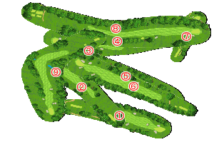 コース全体俯瞰図