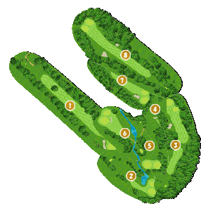 コース全体俯瞰図