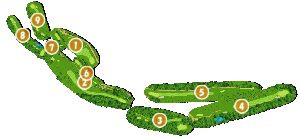 コース全体俯瞰図