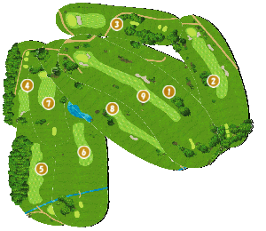コース全体俯瞰図