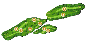 コース全体俯瞰図