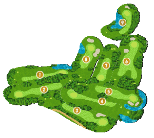 コース全体俯瞰図