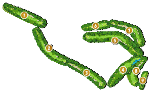 コース全体俯瞰図