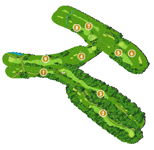 コース全体俯瞰図