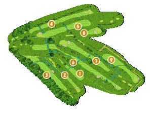 コース全体俯瞰図