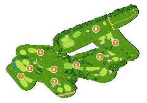 コース全体俯瞰図