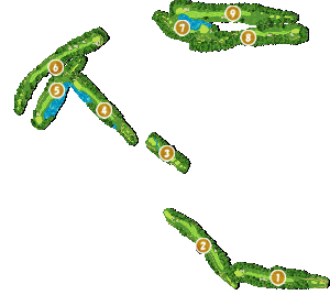 コース全体俯瞰図