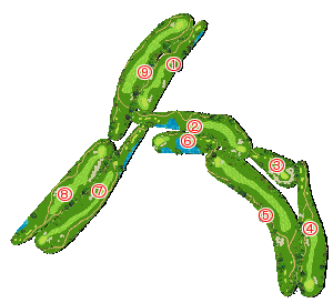 コース全体俯瞰図