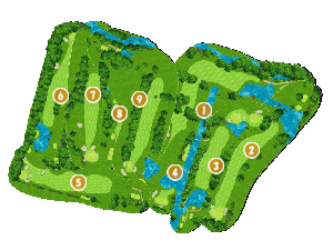 コース全体俯瞰図