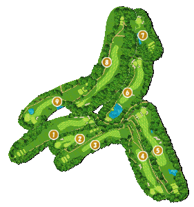 コース全体俯瞰図