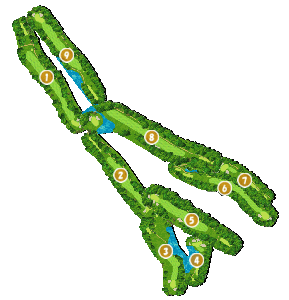 コース全体俯瞰図