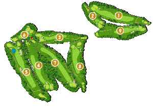 コース全体俯瞰図