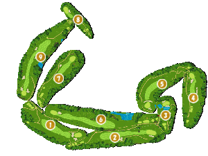 コース全体俯瞰図