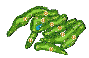 コース全体俯瞰図