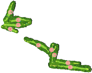 コース全体俯瞰図