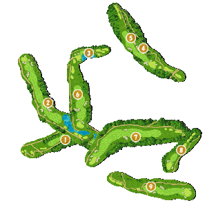 コース全体俯瞰図