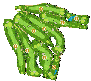 コース全体俯瞰図