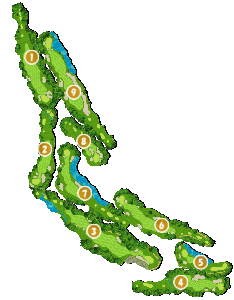 コース全体俯瞰図