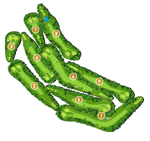 コース全体俯瞰図