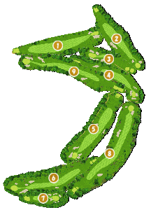 コース全体俯瞰図