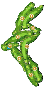 コース全体俯瞰図