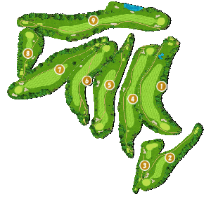 コース全体俯瞰図