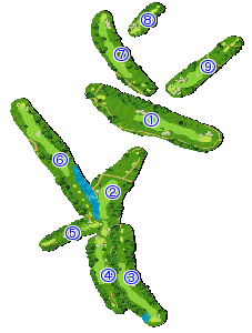 コース全体俯瞰図