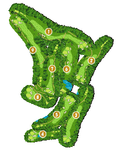 コース全体俯瞰図