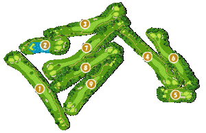 コース全体俯瞰図