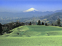 東京カントリー倶楽部