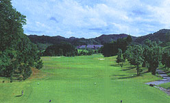 カナリヤガーデンカントリークラブ(閉鎖)の写真