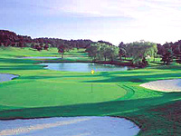 太平洋クラブ 六甲コースの写真