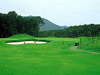 新武蔵丘ゴルフコースの写真