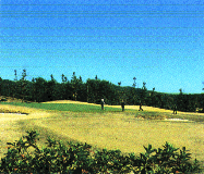 岐阜関カントリー倶楽部の写真